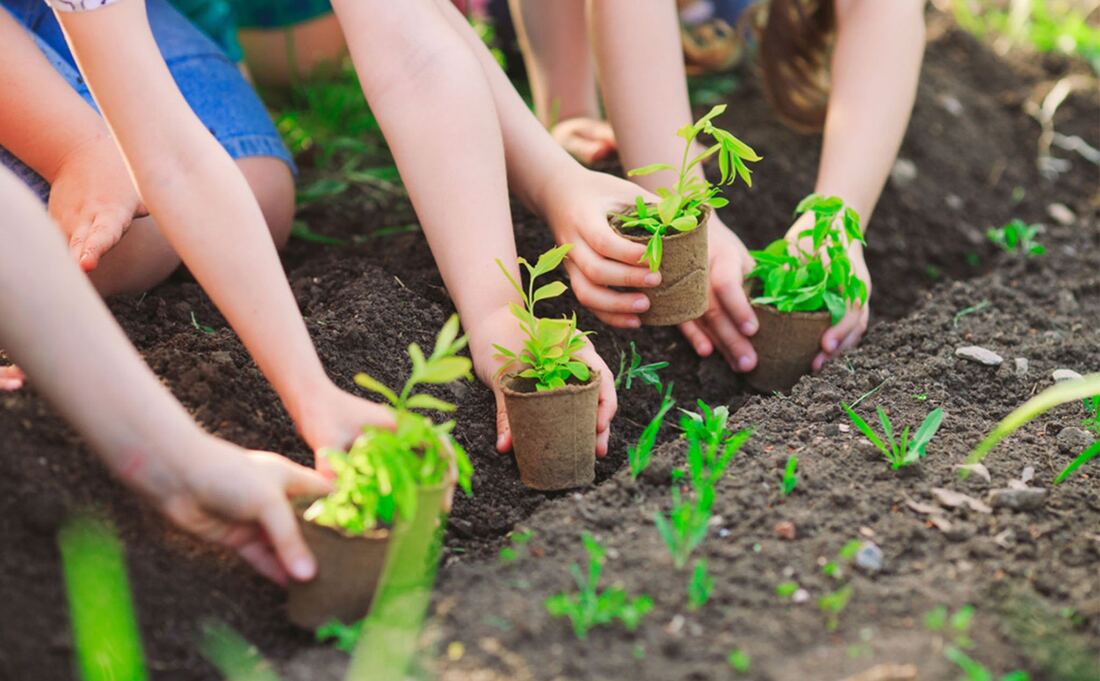 Children planting seedlings in a garden bed